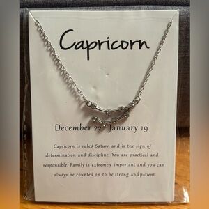 Silver Capricorn Zodiac Necklace